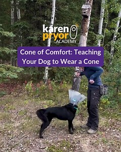 36 reactions · 12 shares | Wearing a medical apparatus is seldom...