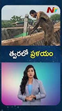 Ghanaian Prophet Ebo Noah Claims the World will end in a Great Flood on December | NTV Global