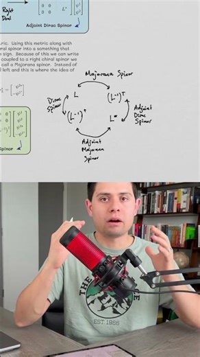 Dirac Spinors vs Majorana Spinors #Majorana #dirac #spinors #particlephysics #maths #physics