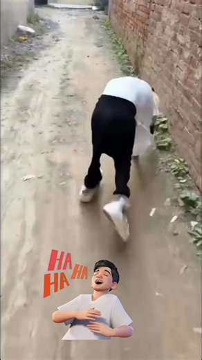 Dogs wearing clothes are so cool😂😂 | Jmt Gamming