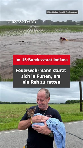 Ein Feuerwehrmann wagt sich in eine Sturzflut, um ein Baby-Reh zu retten - dieses Video aus dem US-Bundesstaat Indiana geht nun viral. Eigentlich waren die Feuerwehrkräfte wegen eines Autos das auf einer überlfuteten Straße feststeckte vor Ort. Dabei hörten sie aber die Schreie eines kleinen Rehs, das von der Überschwemmung mitgerissen wurde. Im Video ist zu sehen, wie Feuerwehrcaptain Joe Sinclair vom Madison Township Fire Department in die Fluten watet und das Reh rauszieht. Das Reh tauften si