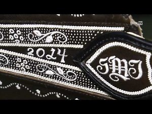 Straußenfeder und Lederriemen - Federkielstickerei