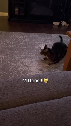 Chris!! (@mytopcuh)’s videos with Itty Bitty 8 Bit - Kevin MacLeod