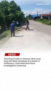 In-Depth Story on Reels