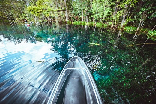 Silver Springs, FL CLEAR Kayak Tours | Get Up and Go Kayaking