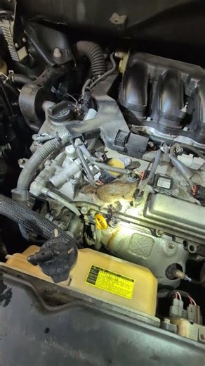 RIP Stuart Little 😮‍💨✊🏼 #mechanic #automotive #repair #rip #lol #fyp