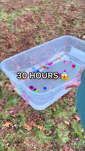 I MADE the WORLD'S LARGEST SQUARE Orbeez! 😱🌎🫧 #fidgettoys #fidget #squishy #diy #craft #fypage #trending