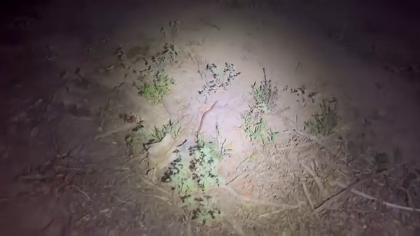 20K views · 496 reactions | Here’s a coppernoggin video from Eastland...