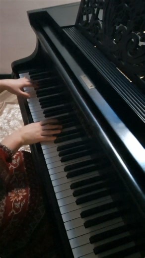 #piano Without You 🩶