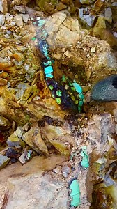 Digging Royston turquoise from the Royal Blue Mine. | Chris Rose