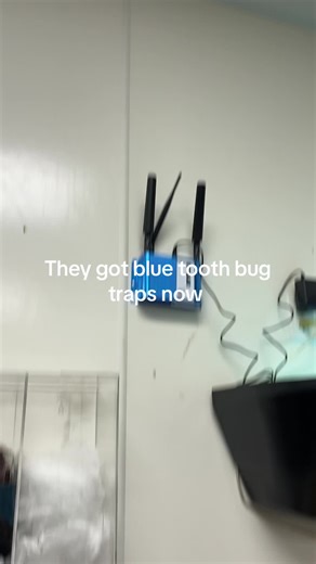 Can some one explain this ??#bugs #Christmas #Navidad
