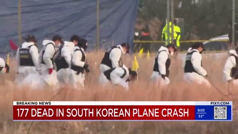 A plane crashes landing in South Korea, killing 179