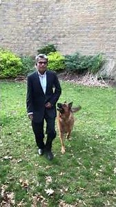 Rocky VOM Kolenda II German Shepherd Schutzhund training commands !!!