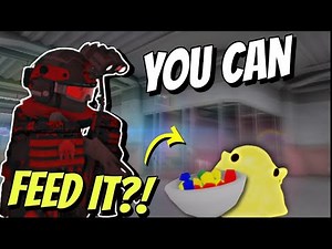 The CUTEST SCP Interactions & Changes in Area 47!