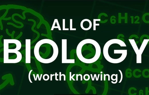 最全的生物学解析动画