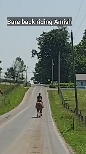 Bare back riding Amish. #ohioamishcountry #amish #amishcountry #amishlife #countryliving #countrylife | Ellen MariaelenaB