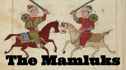 The Mamluk Military: A Professional Medieval Army