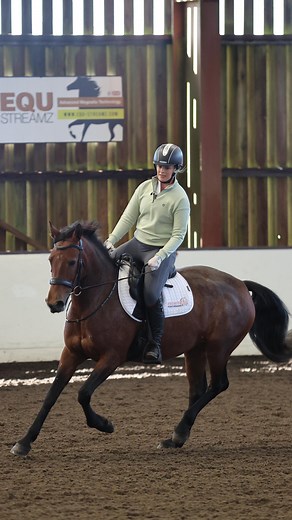 Elphick Event Ponies on Reels