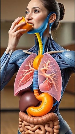 Eat an Orange, Then This Happens Inside Your Body 🍊 | 3D Human Digestion