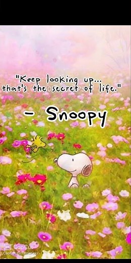 snoopy quotes are the best 😀#snoopy