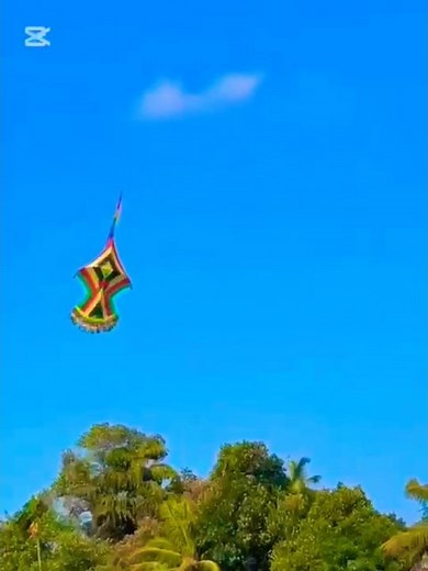 Beautiful Peacock kite in Sri Lanka 2025