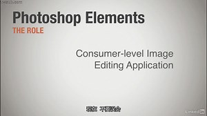 Lynda中文字幕 Photoshop Elements 15教程 Learning Photoshop Elements 15
