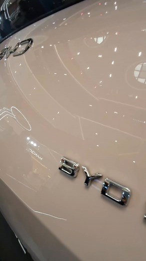 Pink seashell BYD SEAGULL | Matt Mallari