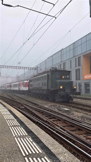 🚆 Zeitreise im Nebel: Ae 4/7 10976 von SBB Historic zieht das rollende Klassenzimmer durch Neuchâtel auf der Jurasüdfusslinie 🌫️ 📍 Neuchâtel NE 🛤️ Jurasüdfusslinie (Lausanne–Biel/Bienne) 🚂 Ae 4/7 10976 🚃 X 928, X 927, X 303, X 302, X 821, X 929 📈 MAT 32338 🚩 Neuchâtel Cargo 🏁 Morges 🗓️ 01.11.2025 Dabei war: @sbb_und_bls @swissrails Tags: #ae4710976 #ae47 #sbbhistoric #cffhistorique #schulunderlebniszug #oldtrain #überführung #teamdeslocomotivescffhistoriquesdelausanne #jurasüdfuss #neu