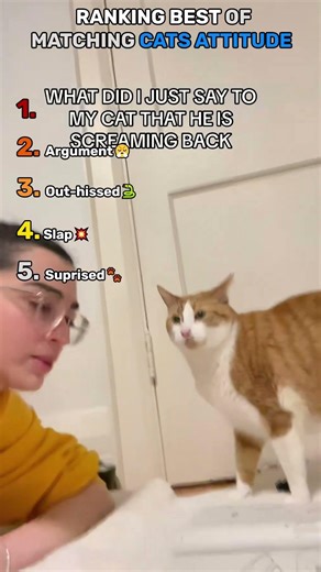 Ranking Best of Matching Cats Attitude #cats #shorts #viral