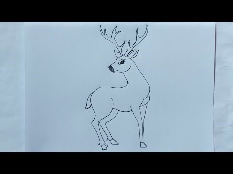 How to draw animal step by step | deer drawing easy step by step