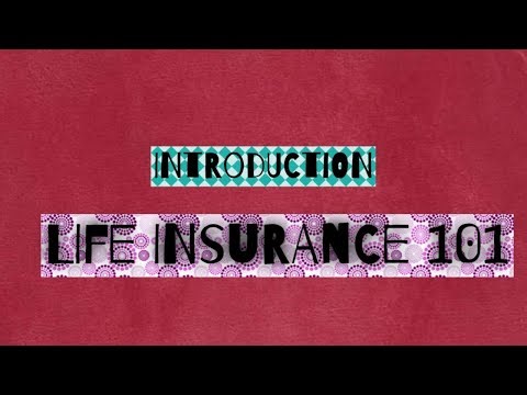 INTRODUCTION TO LIFE INSURANCE 101