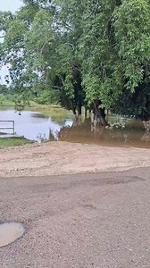 16K views · 40 reactions | Breaking Belize News on Reels | Facebook