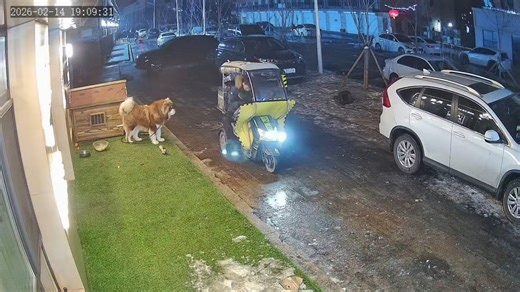 Delivery guy startled by Alaskan Malamute in Jilin, China