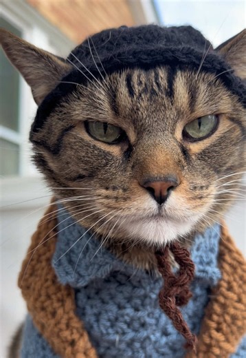 Chance Will Be There and Cover You — Crochet Cat Hat Tribute