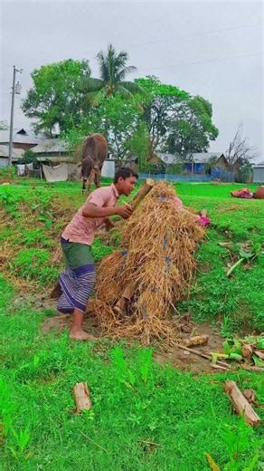 #new_bangla_dj_song #bangla_dj_songs2026 #bangla_dj_songs #tiktok_viral_song_2