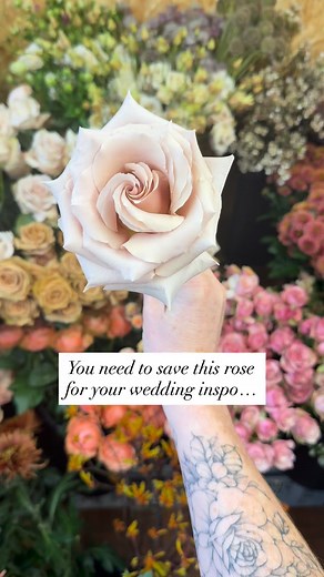 Oh Quicksand you are just a dreamboat and will always be a wedding fave  This roses goes with literally EVERY colour scheme and brings all the ruffles and drama . Save for inspo and send to your bride squad ✌ #quicksandroses #quicksandrose #beautifulroses #weddingroses #lakedistrictwedding #lakedistrictweddingsuppliers #bridalbouquets #lancashirewedding #weddinginspo | Rock and Wreath | Facebook