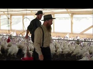 Plain & Simple: Family Farming is a way of life.