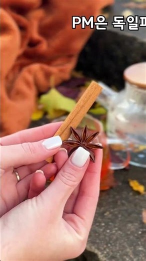 [독일 PM쥬스]단풍이 이쁜 가을엔 독일피엠 액티펀치와함께~~