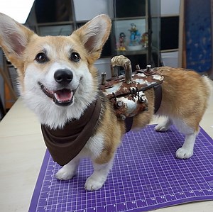 372K views · 1.9K shares | You want me to make armor for my dogs? Well here you go! I once made a super cute Dogmeat armor from Fallout 4 for my corgi Zelda! It's all just EVA foam! The primer is PlastiDip, the paint is made with Rub'n'buff and the rust effect is made with real iron power, salt, vinegar and hydrogen peroxide! It's actually REAL rust! Super cool, right? How do you like Zelda's Dogmeat costume?  Do you have more ideas? | Kamui Cosplay | Facebook