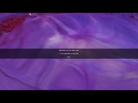 "Chameleons: Masters of Vision and Camouflage!"