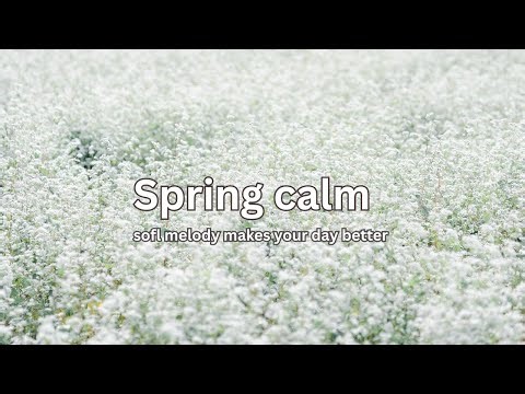 “Spring calm 🌸🎶 Gentle piano music for relaxation, stress relief, and quiet reflection.”