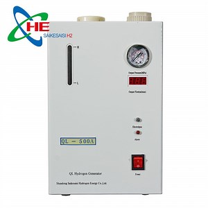 [Hot Item] Ql-500A Water Electrolysis Hydrogen Generator 99.9999% Gc Use Analytic Purity