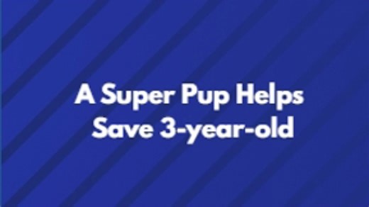 A super pup helps save 3-year-old