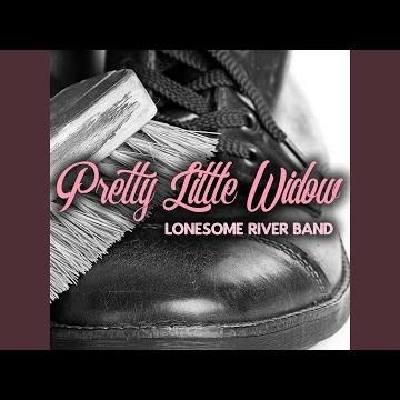 Pretty Little Widow