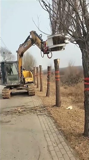 Smart Excavator Operator 😲 | Perfect Tree Cutting Technique