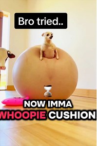 Worst Whoopy Cushion Prank FAIL! 🤣