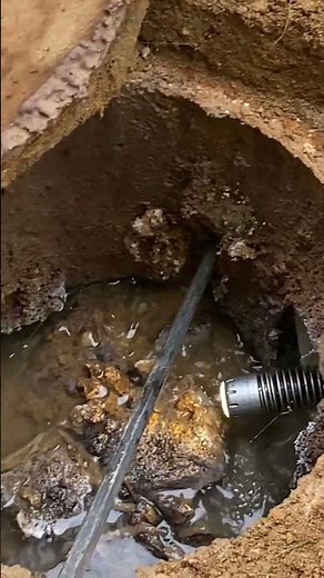 Septic System Alert: Time to Replace Your Distribution Box? #home #realestate #fail #construction