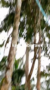 Bukan kaleng kaleng meski ukuran kecil tapi mampu mendorong air ke atas tanpa bantuan listrik dan BBM | Pompa Hidram Jaya