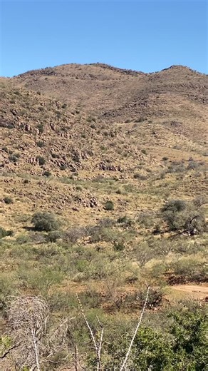 Danny Jones on Reels