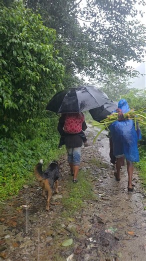 Heavy Rain in the Himalayas | A Child Carrying Loads Through a Remote Village in Nepal #heavyrain